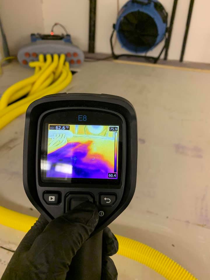 IMAGE_MOLDSENSOR Mold Sensor